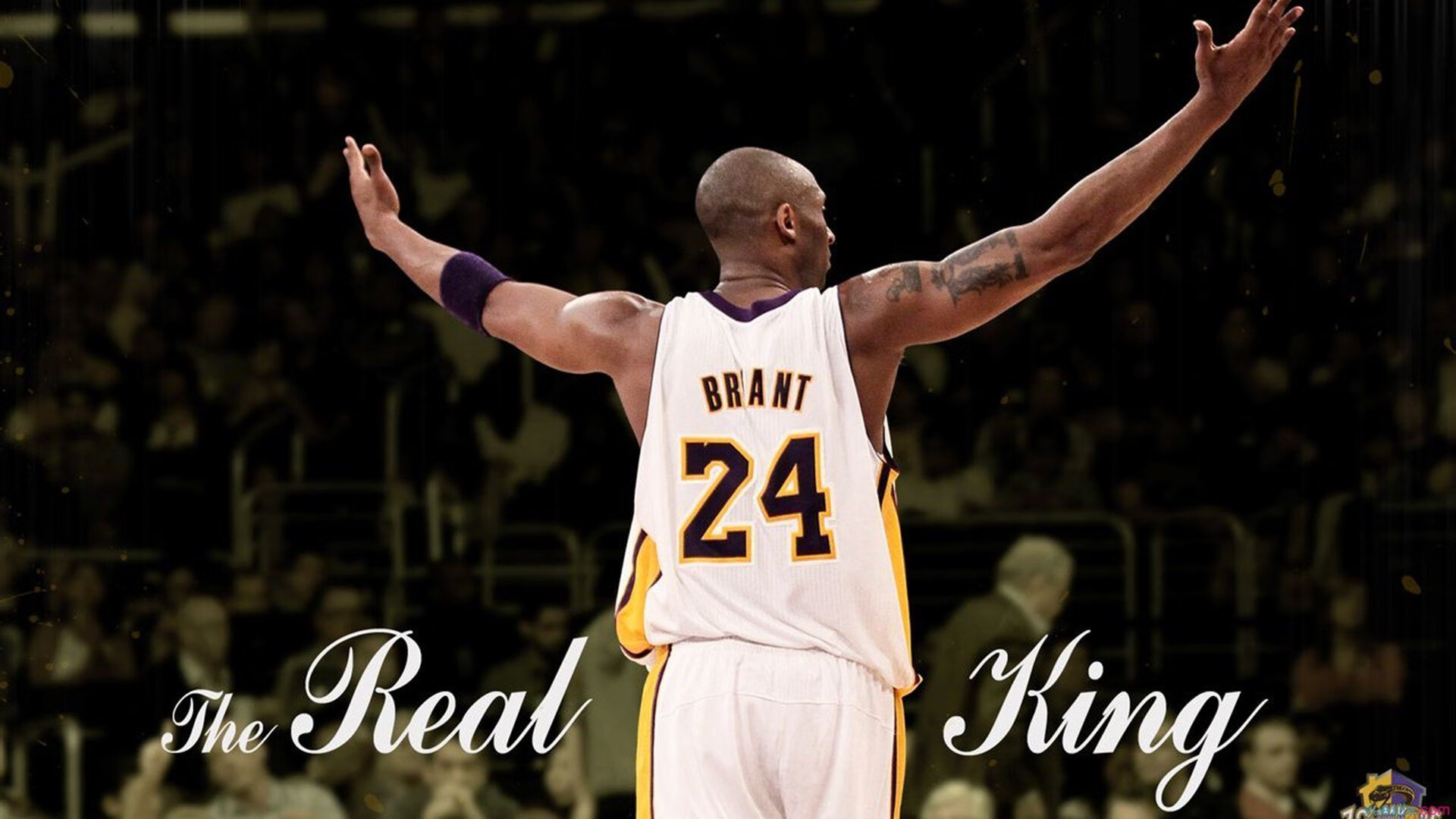 杰克·阿莱克西泳池内外双重突破，杰克莱斯